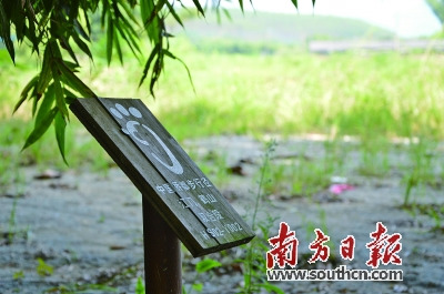 江門鶴山雙合段潮人徑標(biāo)識。 南方日報記者 潘偉珊 攝