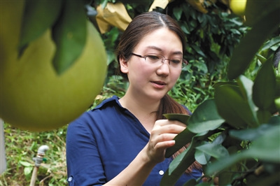 2014年，劉梅旭去一線收集果樹生長(zhǎng)的資料數(shù)據(jù)。