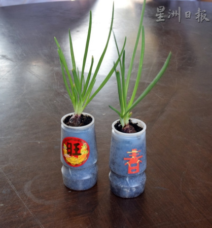  配合新春的到來(lái)，全校學(xué)生從一年級(jí)至六年級(jí)也發(fā)揮創(chuàng)意，充份利用各種容器如小花瓶，種植小品盆栽蔬菜，也動(dòng)手剪紙貼上吉祥的祝語(yǔ)。（馬來(lái)西亞《星洲日?qǐng)?bào)》）