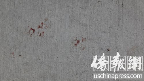 門(mén)前水泥地上清晰可見(jiàn)幾滴血跡。(美國(guó)《僑報(bào)》/高睿 攝)