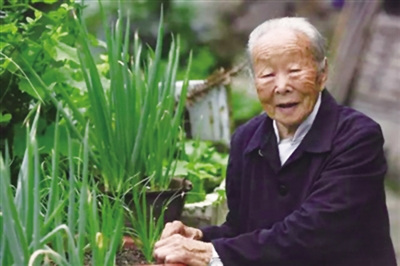 110歲的汪阿葉(女)是目前永嘉最年長的老人。 葉新人 攝