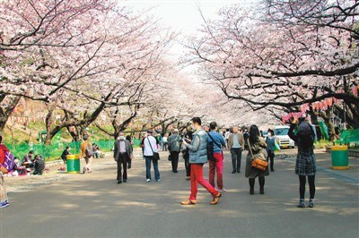 東京上野公園。 　　資料圖片