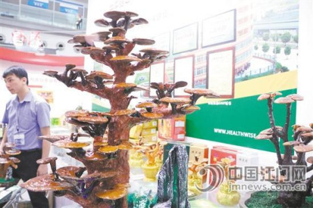 開平健之源保健食品有限公司是國家現(xiàn)代農(nóng)業(yè)示范基地，拳頭產(chǎn)品為有機鮮靈芝、靈芝蒜顆粒等。