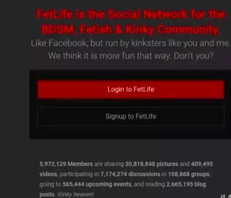FetLife網(wǎng)站截圖 (圖源:中國(guó)青年網(wǎng)) FetLife網(wǎng)站截圖 (圖源:中國(guó)青年網(wǎng))
