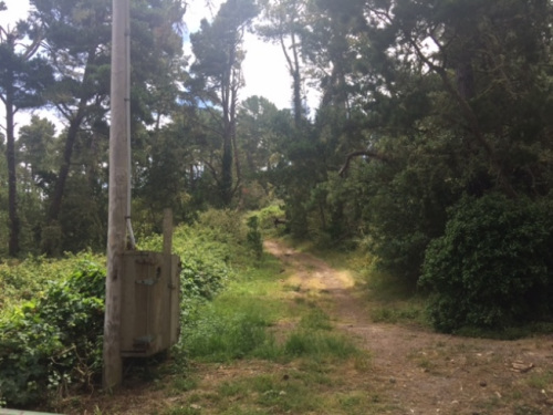 美國(guó)的國(guó)家公園基本都人煙稀少。(美國(guó)《世界日?qǐng)?bào)》/張宏 攝)