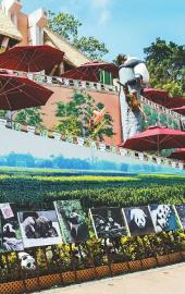 8月24日，“熊貓藝術(shù)展”在香港海洋公園內(nèi)的四川奇珍館開(kāi)幕。圖為藝術(shù)展展出的熊貓攝影作品。本報(bào)記者田為 攝