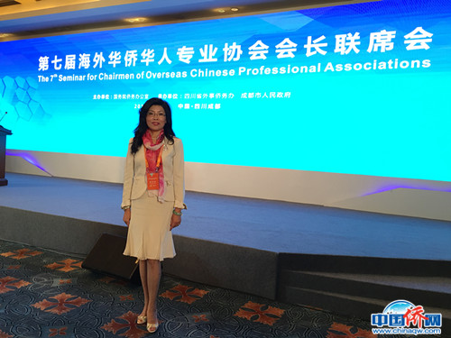 出席海外華僑華人專業(yè)協(xié)會(huì)會(huì)長(zhǎng)聯(lián)席會(huì)。(圖片均由作者提供)