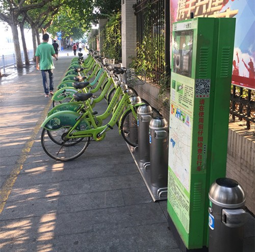共享單車。(圖片均由作者提供)