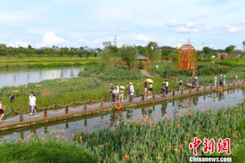 海外華文媒體代表走進(jìn)那考河濕地公園?！∮峋?攝