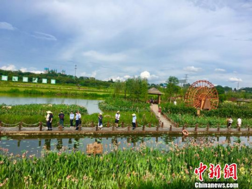 海外華文媒體代表走進(jìn)那考河濕地公園。　朱柳融 攝