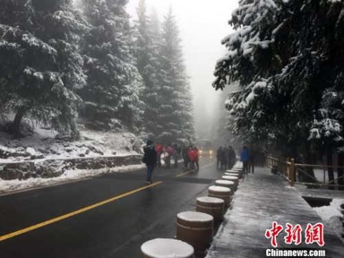 降雪擋不住游客賞景的步伐。　甄梅　攝