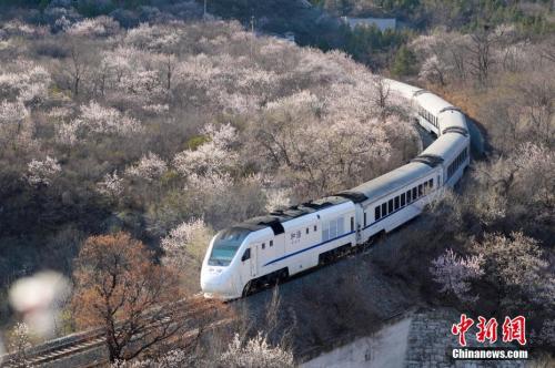 資料圖：北京居庸關京張鐵路和諧號列車穿過花海。<a target='_blank' >中新社</a>記者 廖攀 攝