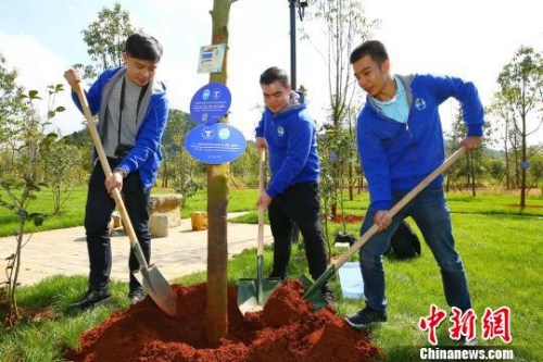 圖為營員植樹留念?！⊥踽恕z