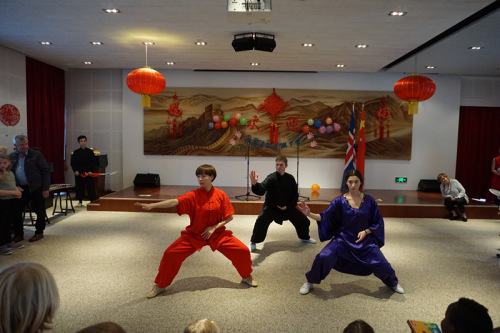 中國功夫表演。