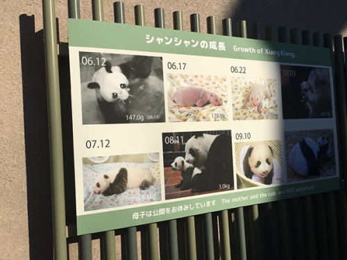 香香的成長史 香香的成長史
