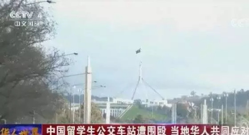 截圖來源:央視華人世界 截圖來源:央視華人世界