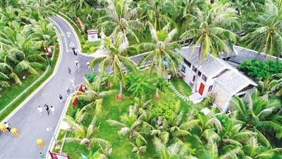 文昌好圣航天農(nóng)莊。本報(bào)記者 張茂 攝