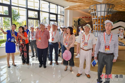 　4月2日，200多名在海南文昌參加2018年第七屆海南文昌南洋文化節(jié)的海內(nèi)外鄉(xiāng)親，前往春光椰子王國(guó)、昌鋪旅游公路、鋪前跨海大橋、瓊北大草原、文昌中學(xué)和清華大學(xué)附屬中學(xué)文昌學(xué)校項(xiàng)目，了解文昌近兩年在食品加工、交通基礎(chǔ)設(shè)施、旅游和教育方面的建設(shè)發(fā)展。(駱云飛 攝影)