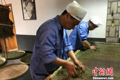 51歲的向書蘭雙手不停地揉捻著茶團(tuán) 董曉斌 攝 51歲的向書蘭雙手不停地揉捻著茶團(tuán) 董曉斌 攝