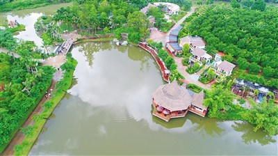 高空鳥瞰興隆咖啡谷。 本報(bào)記者 張茂 攝