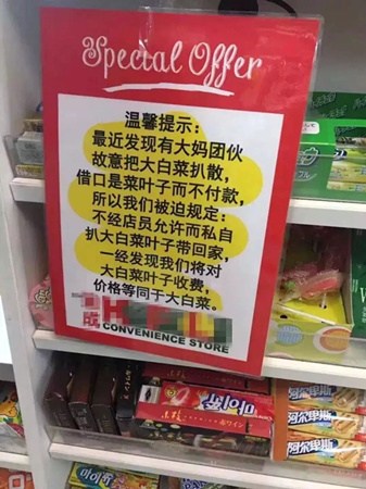 圖片來源:今日悉尼微信公眾號 圖片來源:今日悉尼微信公眾號