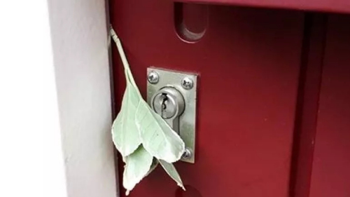 來源:里德凱爾克警局 來源:里德凱爾克警局