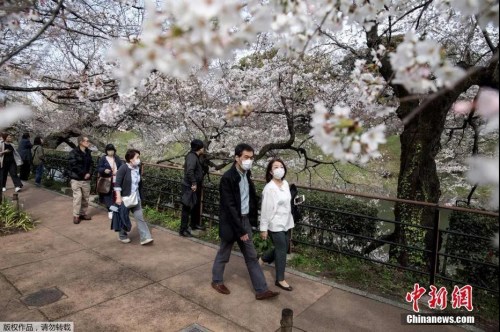 資料圖：日本東京上野公園游人戴口罩賞櫻花。