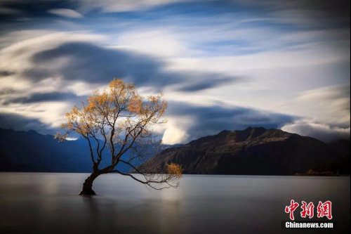 資料圖：新西蘭瓦納卡湖LakeWanaka。<a target='_blank' >中新社</a>發(fā) 張鐘明 攝