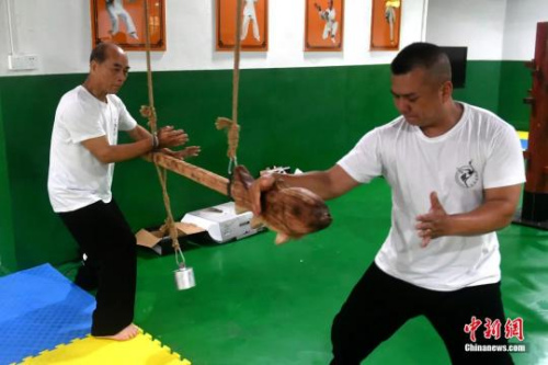 余丹秋為徒弟們傳授動作要領。呂明攝