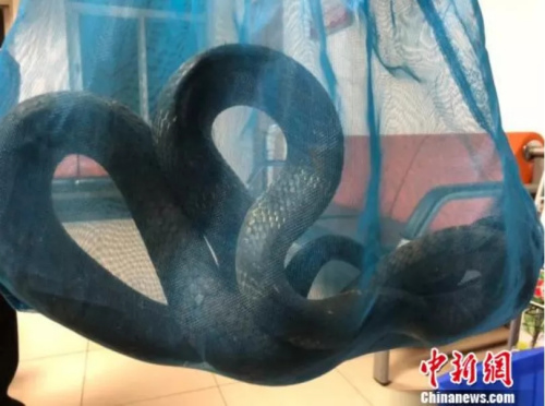 資料圖。來源：<a target='_blank'  >中新網(wǎng)</a>