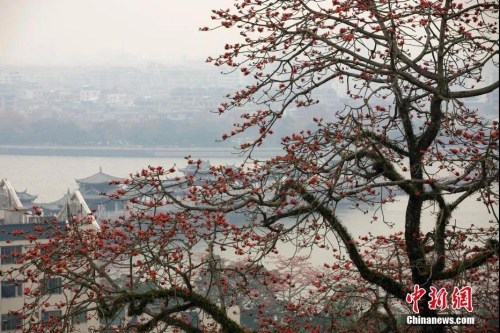 資料圖：廣東省潮州市韓愈紀(jì)念館附近景觀。劉莉生 攝