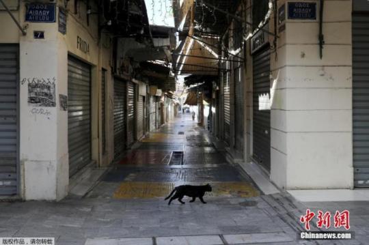 資料圖：希臘雅典，一只貓在空蕩的商業(yè)街上漫步。