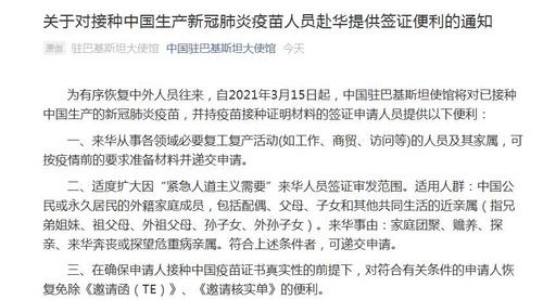 中國僑網