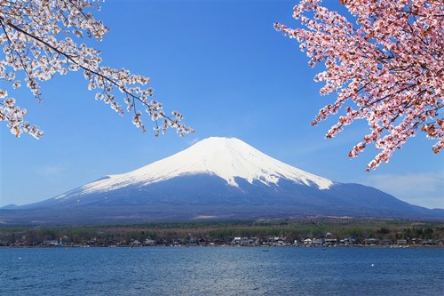 (日本新華僑報(bào)網(wǎng))
