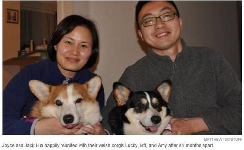 中國僑網Joyce Luo夫妻和他們的愛犬(新西蘭天維網)