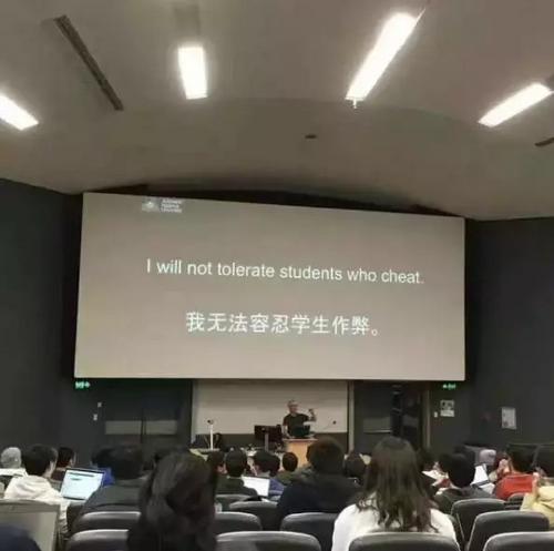 中國僑網