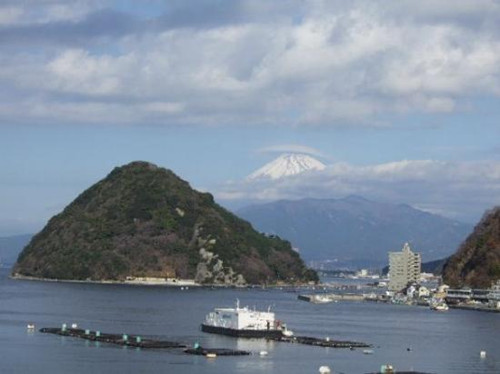 (日本新華僑報網(wǎng))