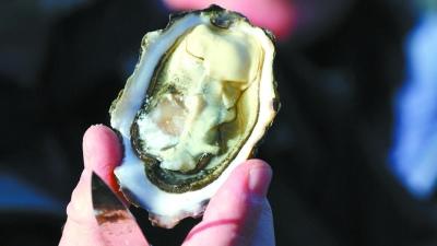 中國僑網(wǎng)
