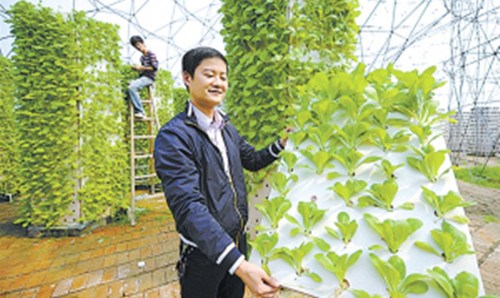 觀察蔬菜長(zhǎng)勢(shì)