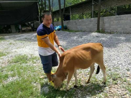 中國僑網(wǎng)潘小波 受訪者供圖