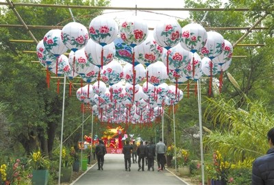 中國僑網(wǎng)首屆溫州迎春自貢燈會吸引眾多市民前往體驗。 趙用 攝