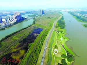 中國僑網位于禪城區(qū)的綠島湖濕地公園 廣州日報全媒體記者龍成通攝