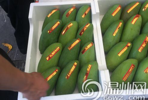 中國僑網(wǎng)