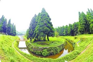 中國(guó)僑網(wǎng)墨綠色的圣誕林讓人仿佛置身于某個(gè)歐洲小鎮(zhèn)。