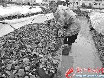 中國(guó)僑網(wǎng)
