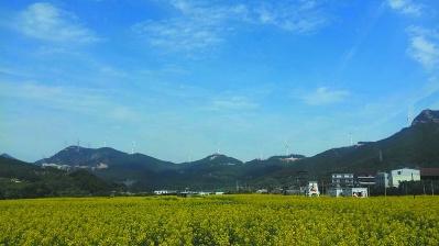 中國僑網(wǎng)