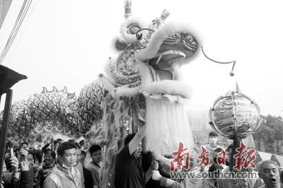 中國僑網(wǎng)整條金龍一共需要100多人才能舞起來。