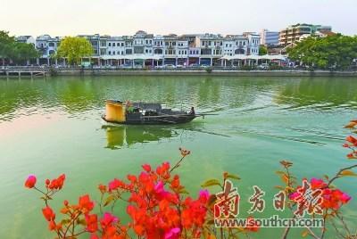 中國(guó)僑網(wǎng)江門蓬江河水質(zhì)持續(xù)變好。楊興樂 攝