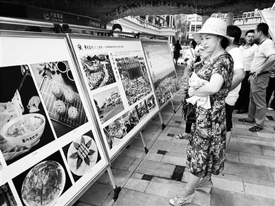 中國僑網(wǎng)市民游客在觀看圖片展。