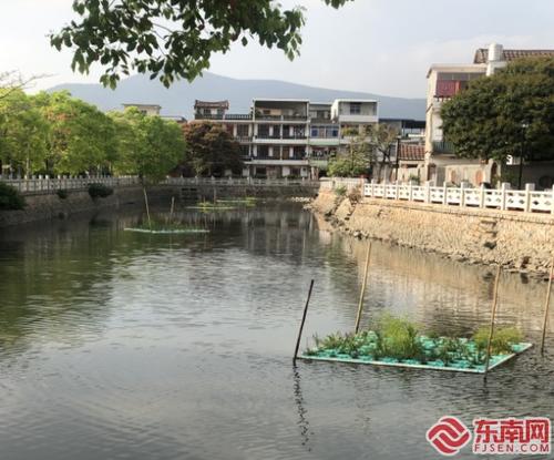 中國僑網(wǎng)梧塘鎮(zhèn)的西莊淡河道